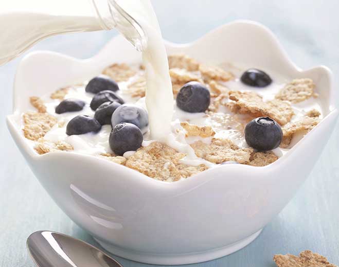 Healthy breakfast cereal with fresh blueberries