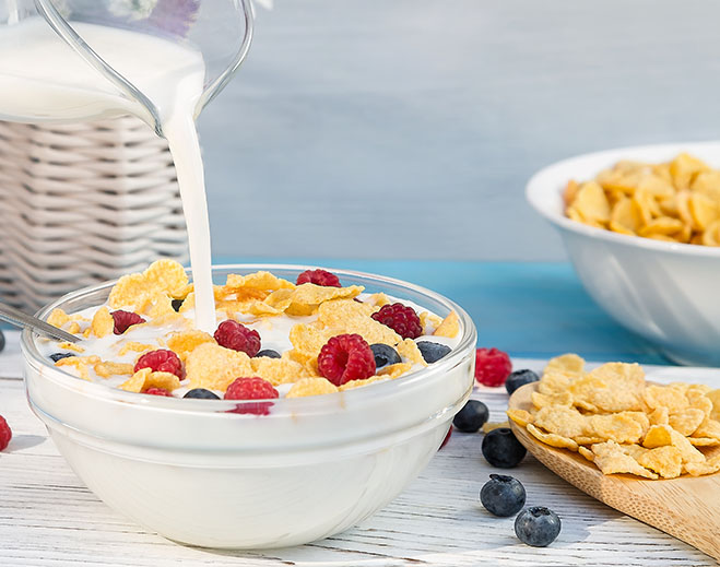 Bowl of cereal with milk and berries
