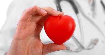 Hand holding red heart near stethoscope